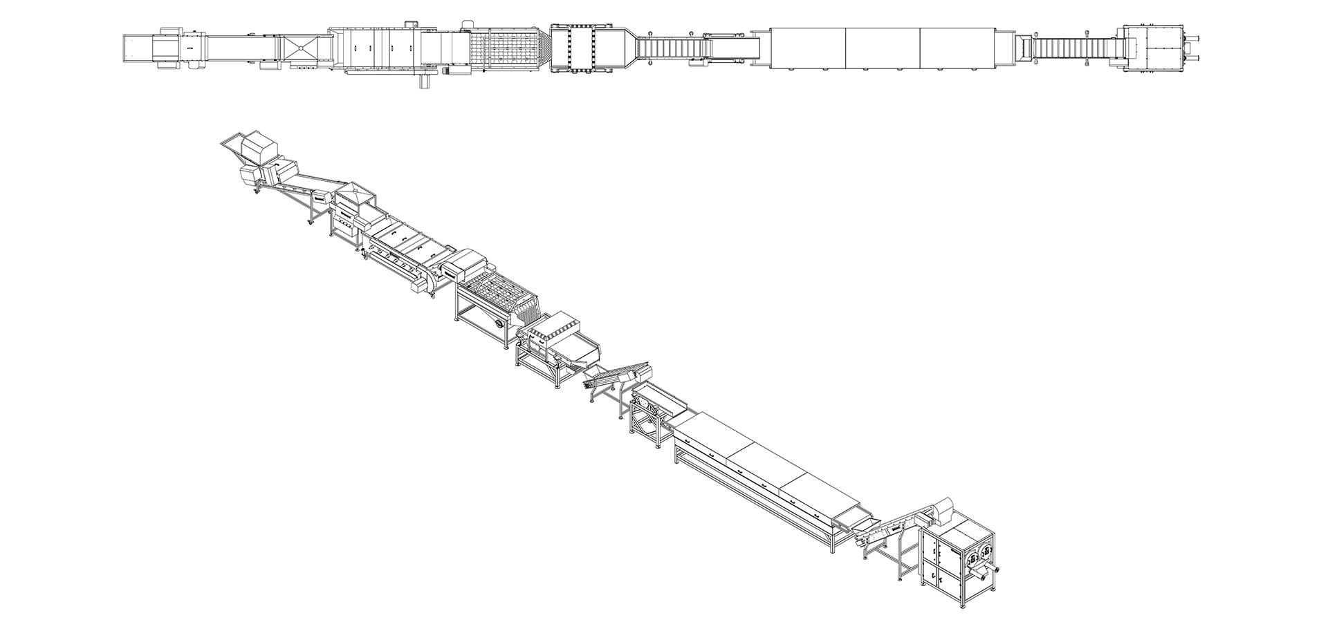 Persimmon Washing and Crushing Line